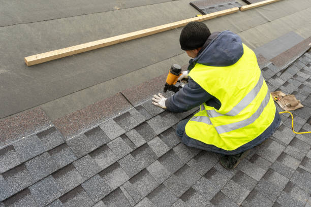 Best Roof Repair Specialists  in Lone Tree, IA