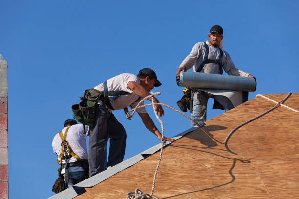 Best Emergency Roof Repair  in Lone Tree, IA