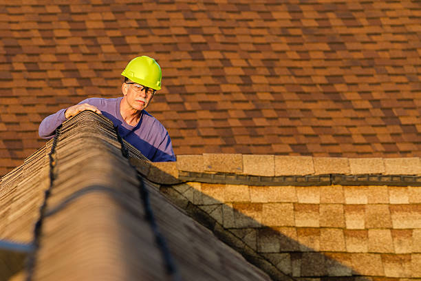 Roof Installation Near Me in Lone Tree, IA
