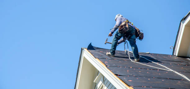 Professional Roofing Contractor in Lone Tree, IA